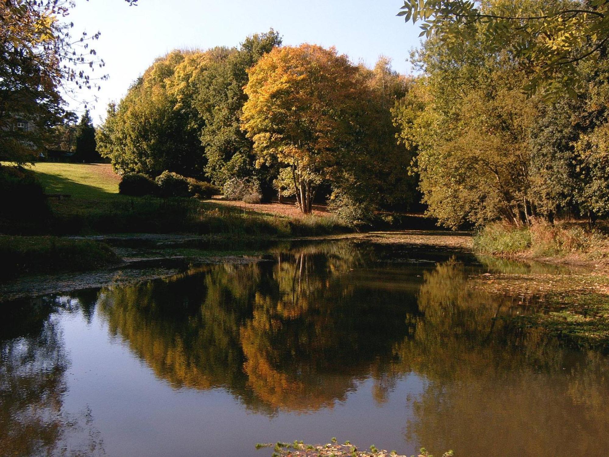 Glyndley Manor Cottages โพลเกท ภายนอก รูปภาพ